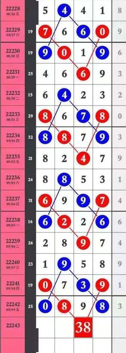 王中王一肖特馬論壇——探索與分享的馬術(shù)世界，王中王一肖特馬論壇，馬術(shù)世界的探索與分享